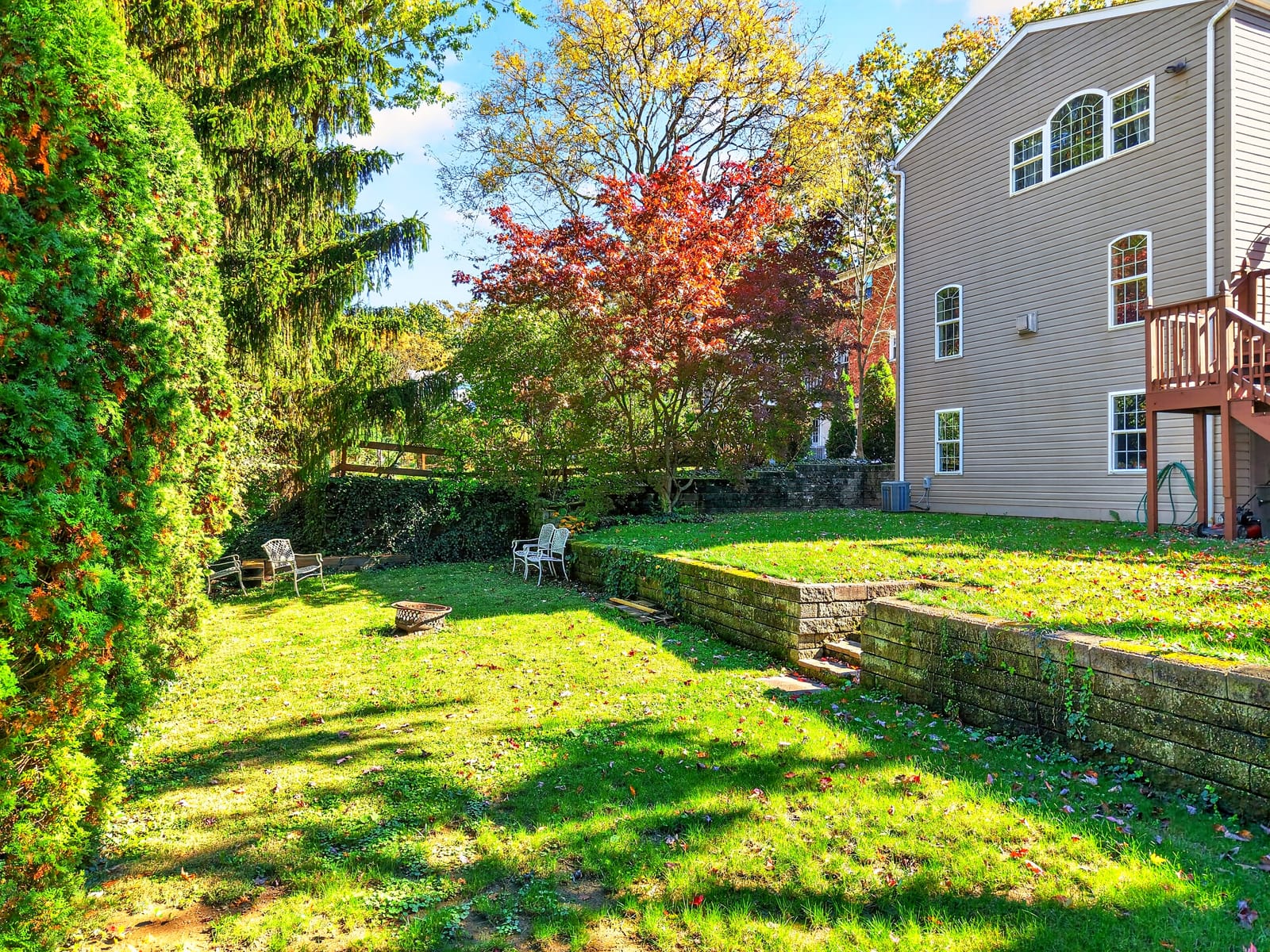 Backyard