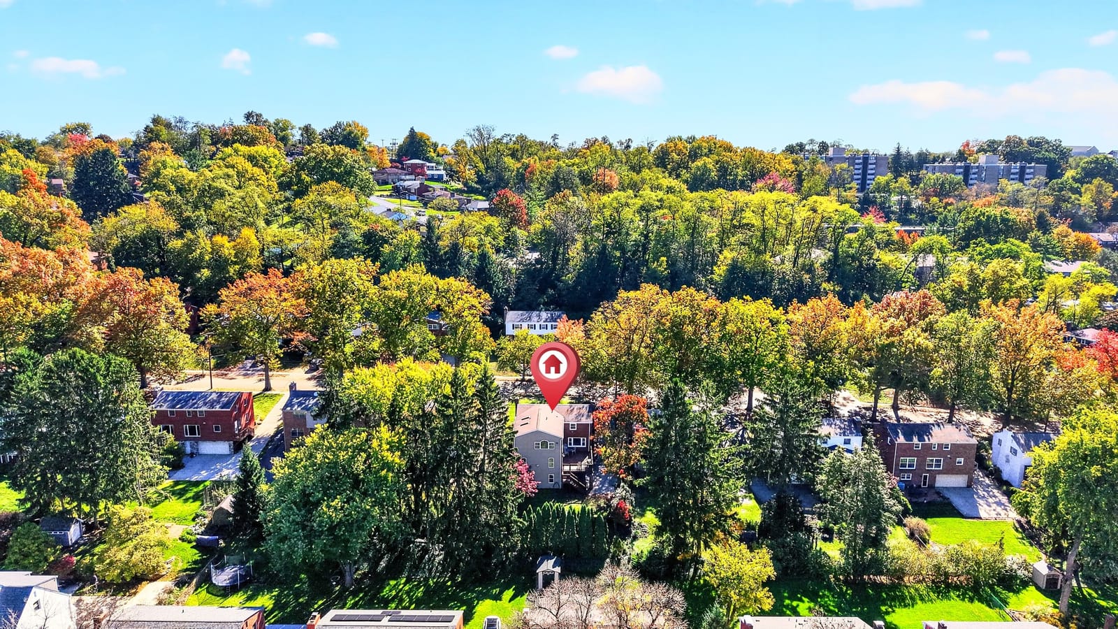 Aerial view of the neighborhood