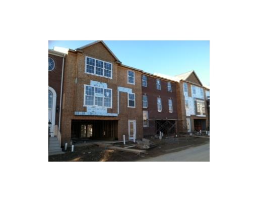 22C Timber Edge